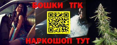 СК Бийск