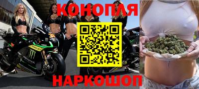 СК Бийск