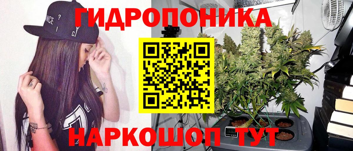 Каннабис тримм Зима